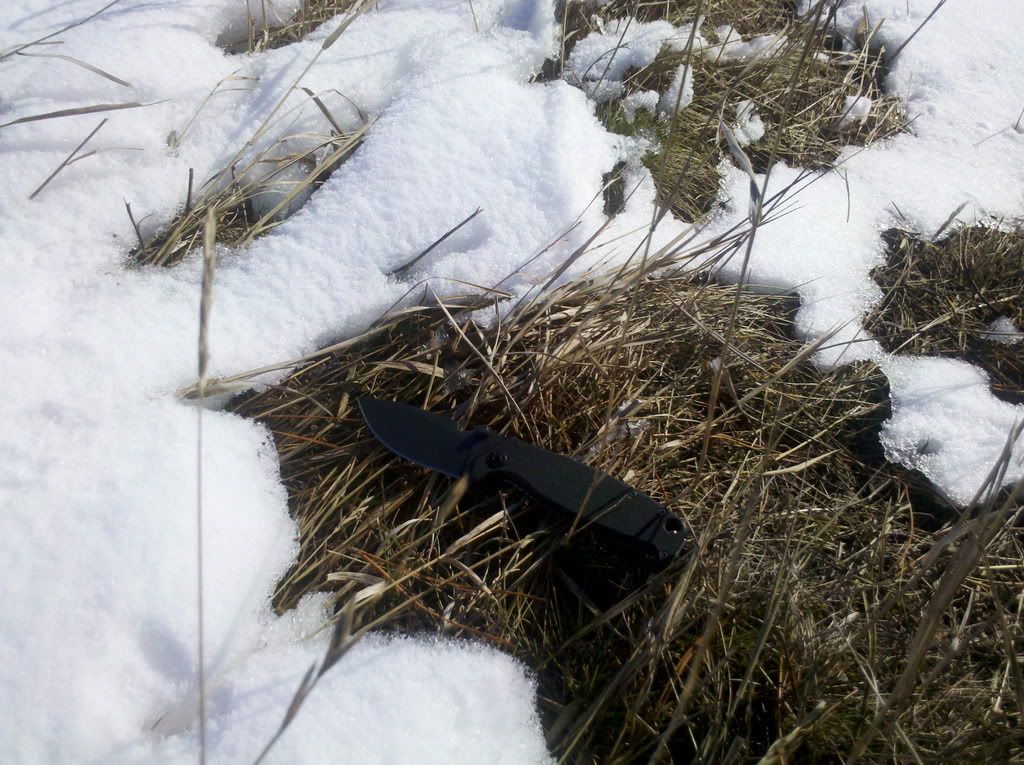 2012-01-29_14-09-30_249.jpg