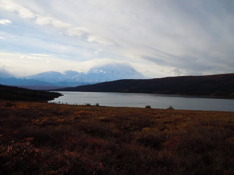 DSCN1232.jpg