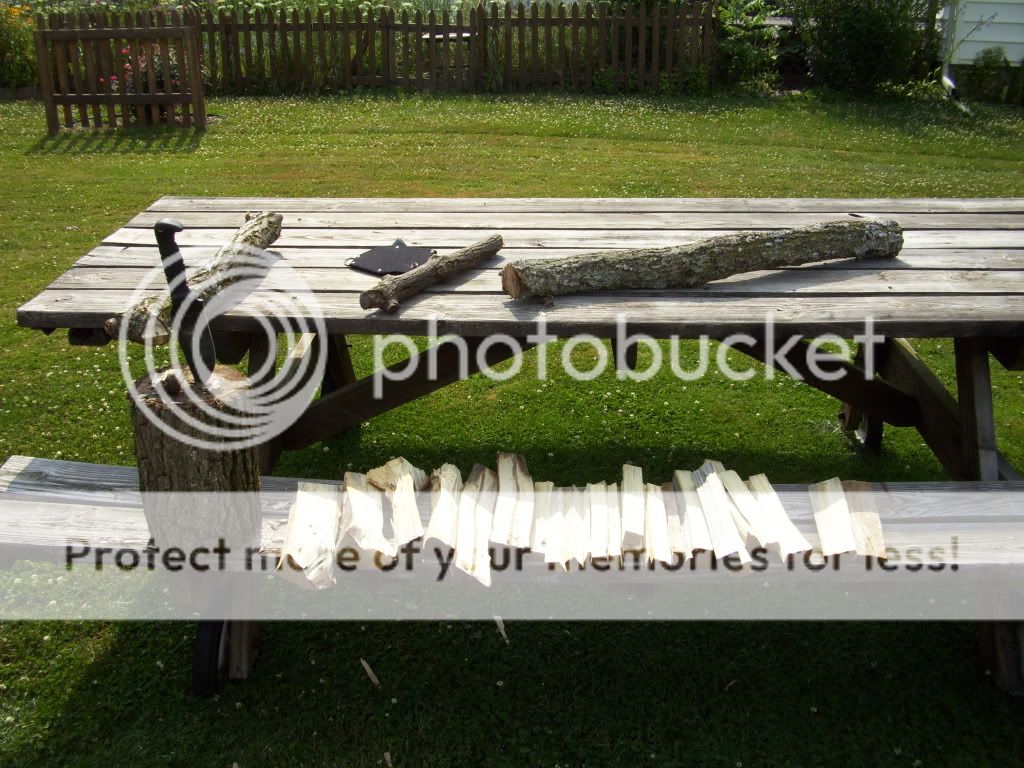 100_1050.jpg