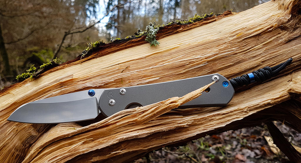 31713168xz.jpg