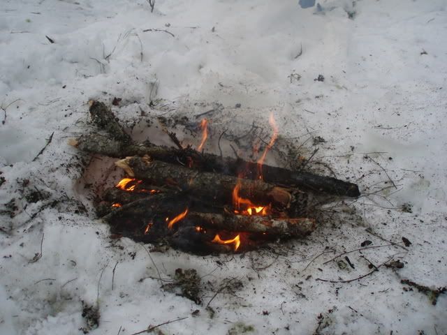 P1010021-1.jpg