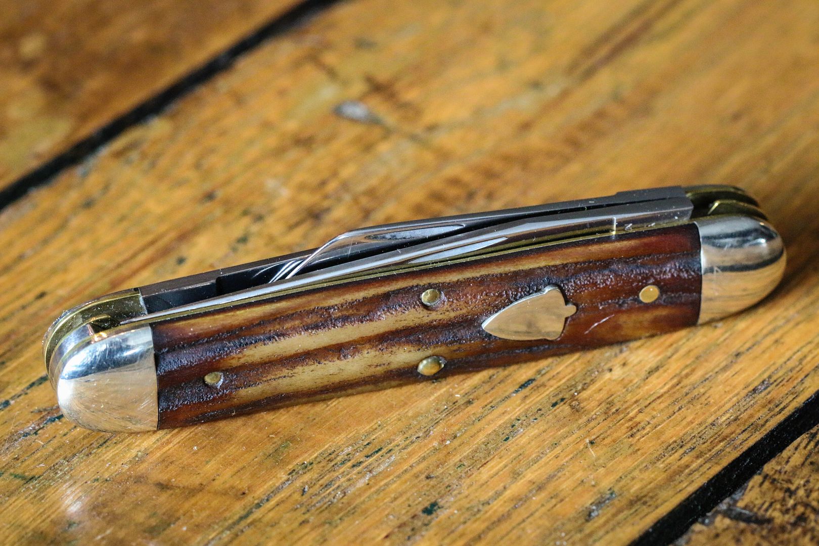 GEC%2053_zps6br8oqdl.jpg