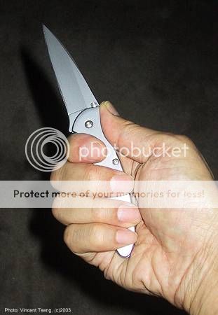 Leek_C.jpg