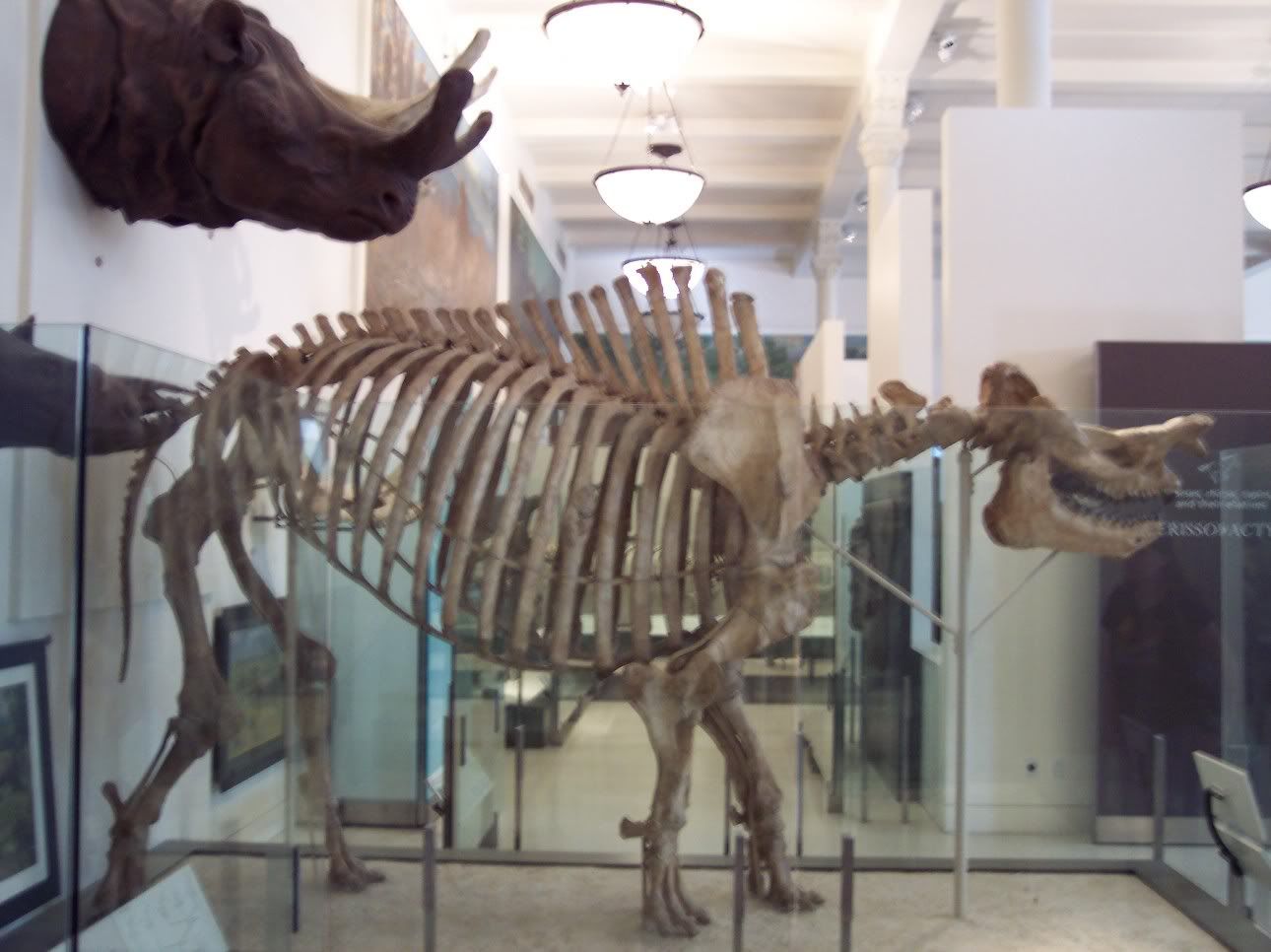 Museum032.jpg