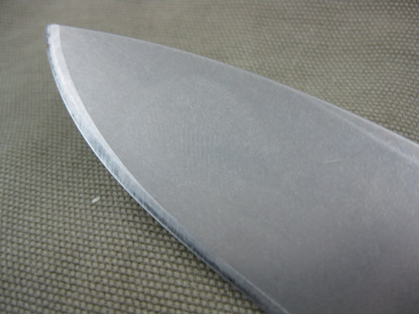 StriderDGG_SnG_010.jpg