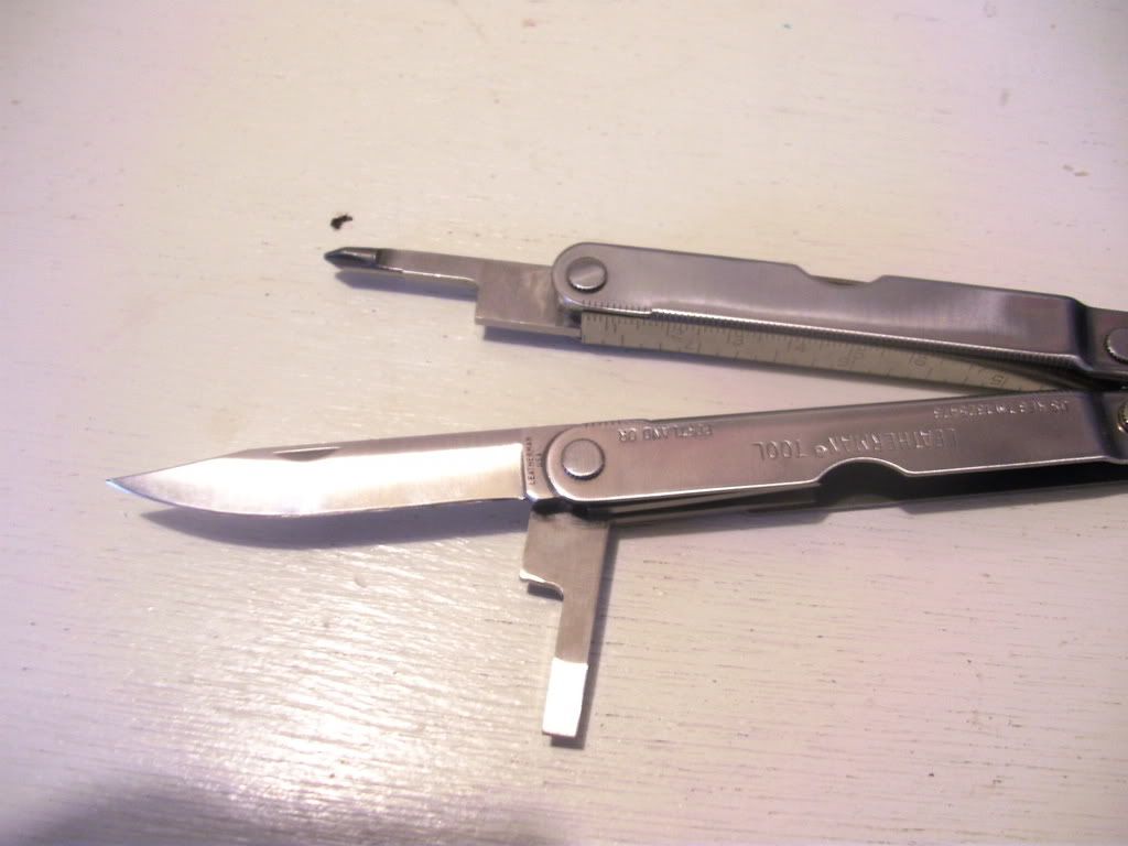 SANY0591.jpg