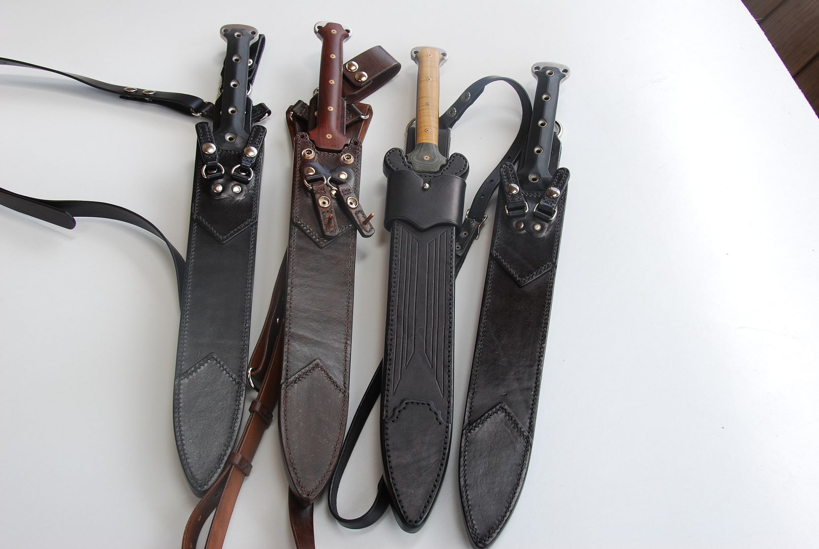 Gladiussheaths001.jpg