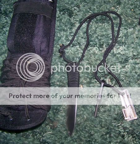 100_1019.jpg