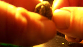 103_9590.JPG