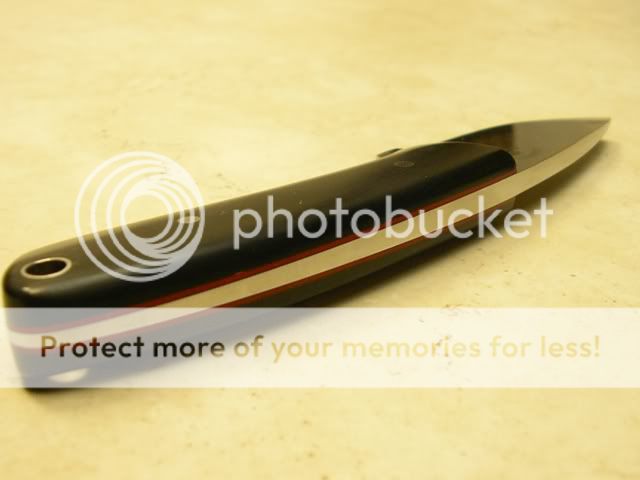 IMGP0991-1.jpg