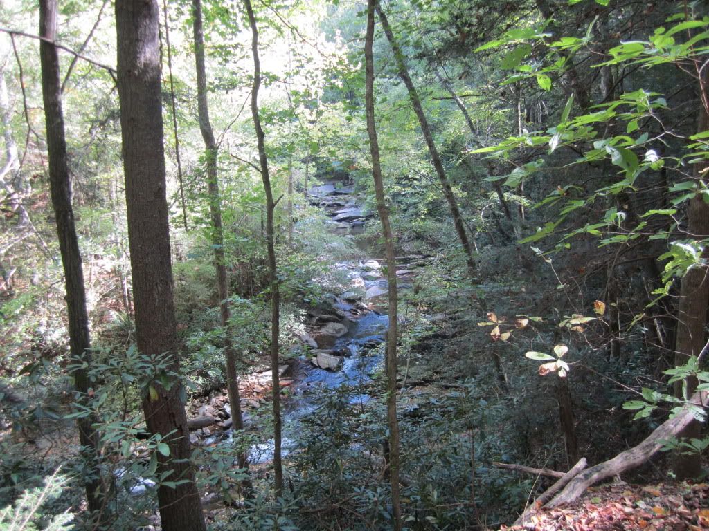 IMG_0592.jpg