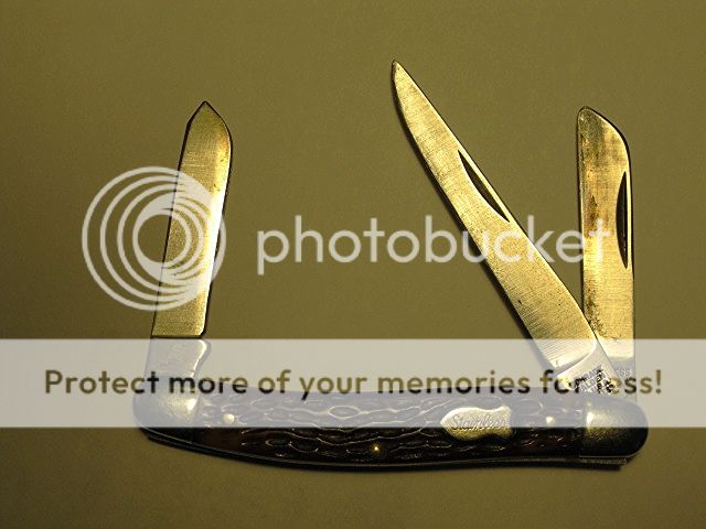 b63c64ca-50fd-4426-bc06-770f4c3137dd.jpg
