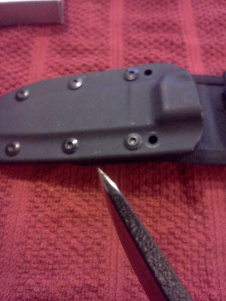 ESEE4211.jpg