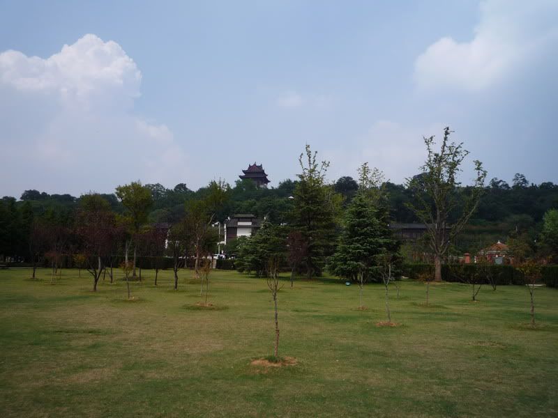 P1010457.jpg