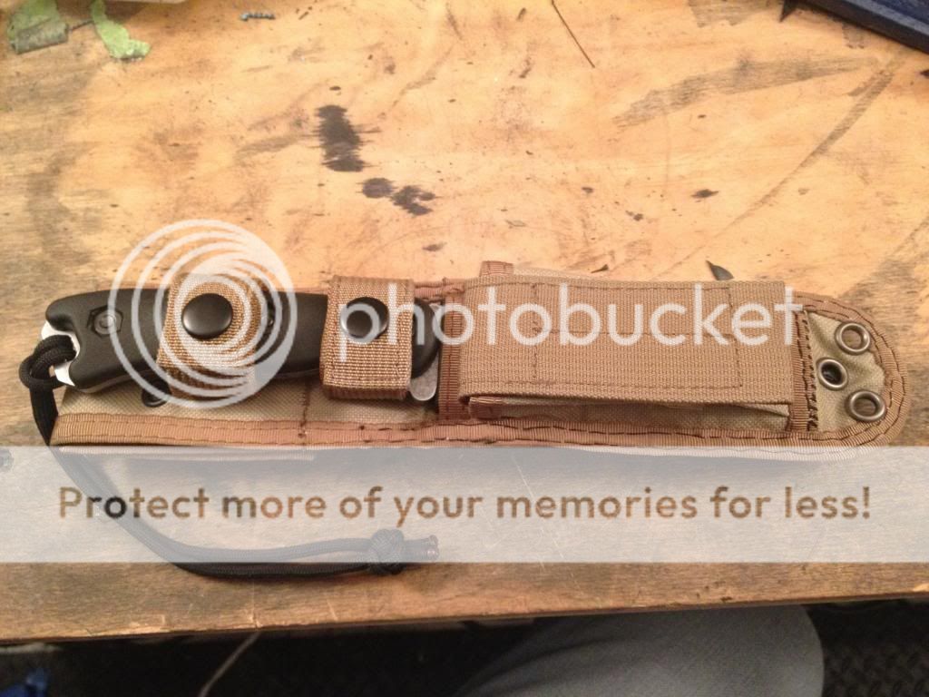 IMG_04232_zpsf9d143e4.jpg