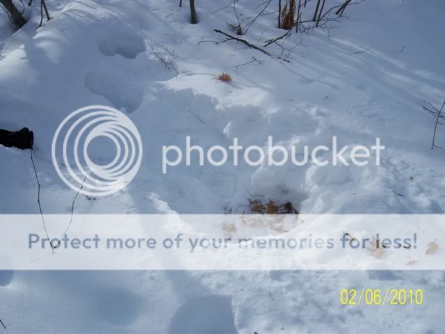 100_3187.jpg