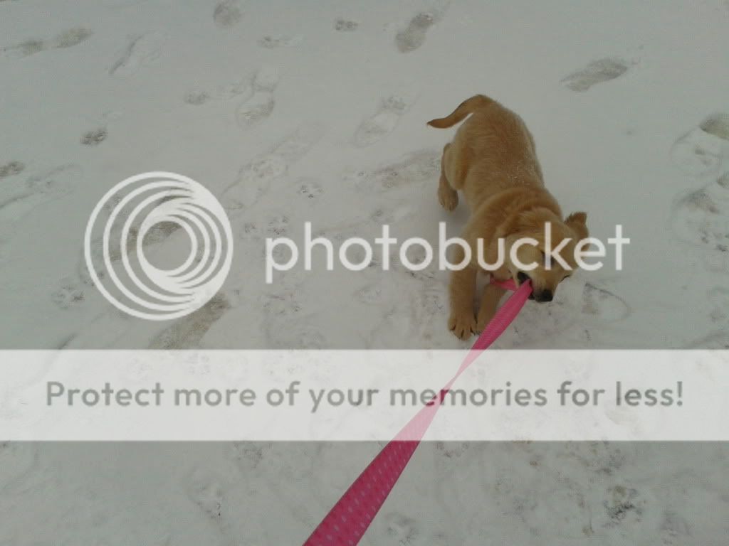2014-01-02134026_zpsa31e4c53.jpg
