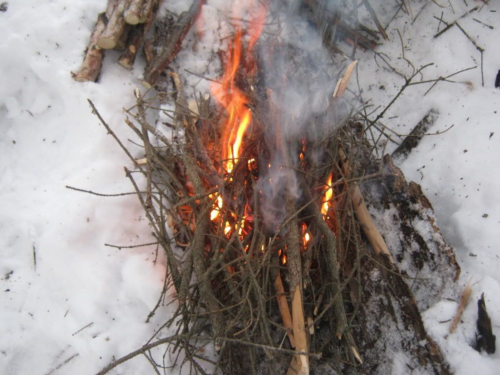 decemberbushcraft015.jpg
