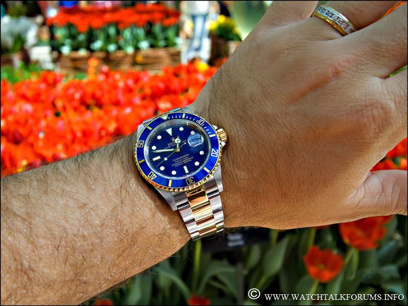 gardenwrist1a.jpg