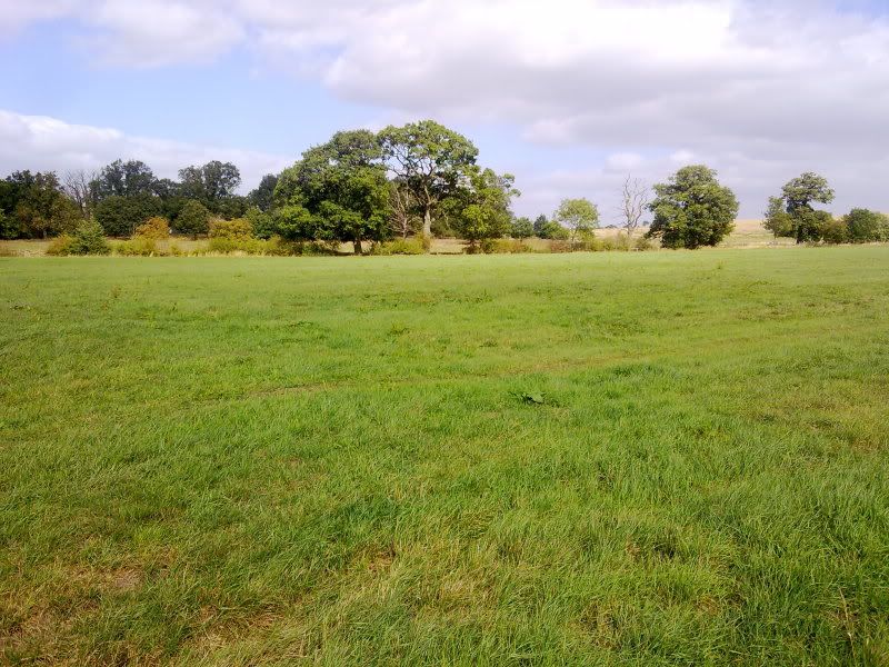 12092011128.jpg