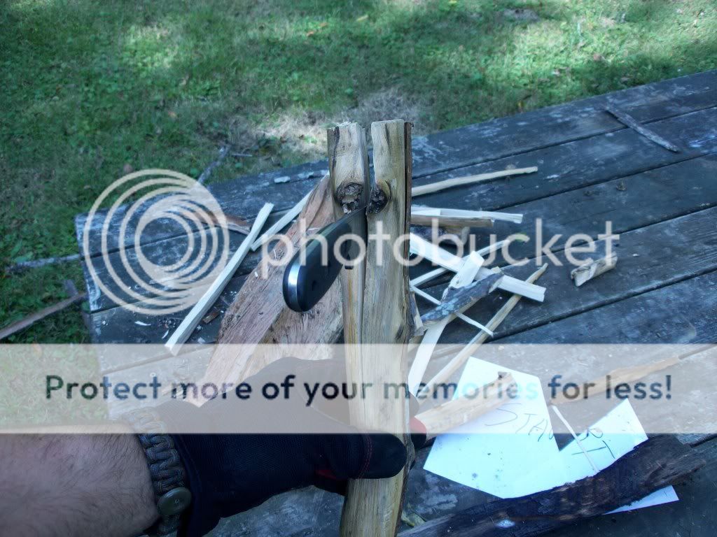 100_3231.jpg