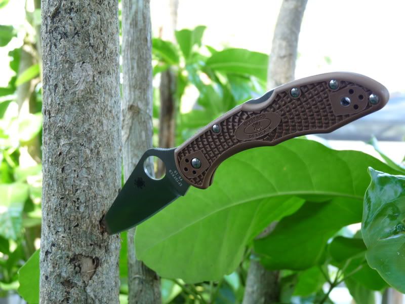 knives018.jpg