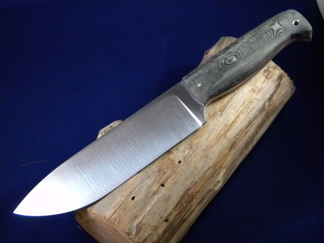 DSCN1375.jpg