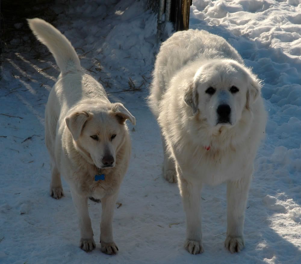 DSC_3621.jpg