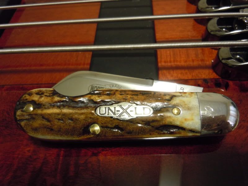 DSCN0241.jpg