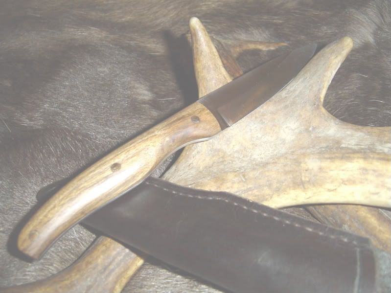 tambootienecker005.jpg