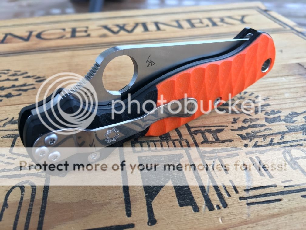 PM2%204.jpg