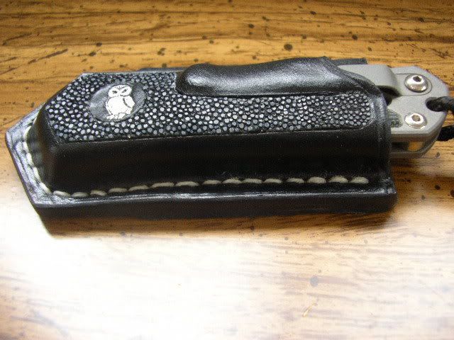 IMGP8389.jpg