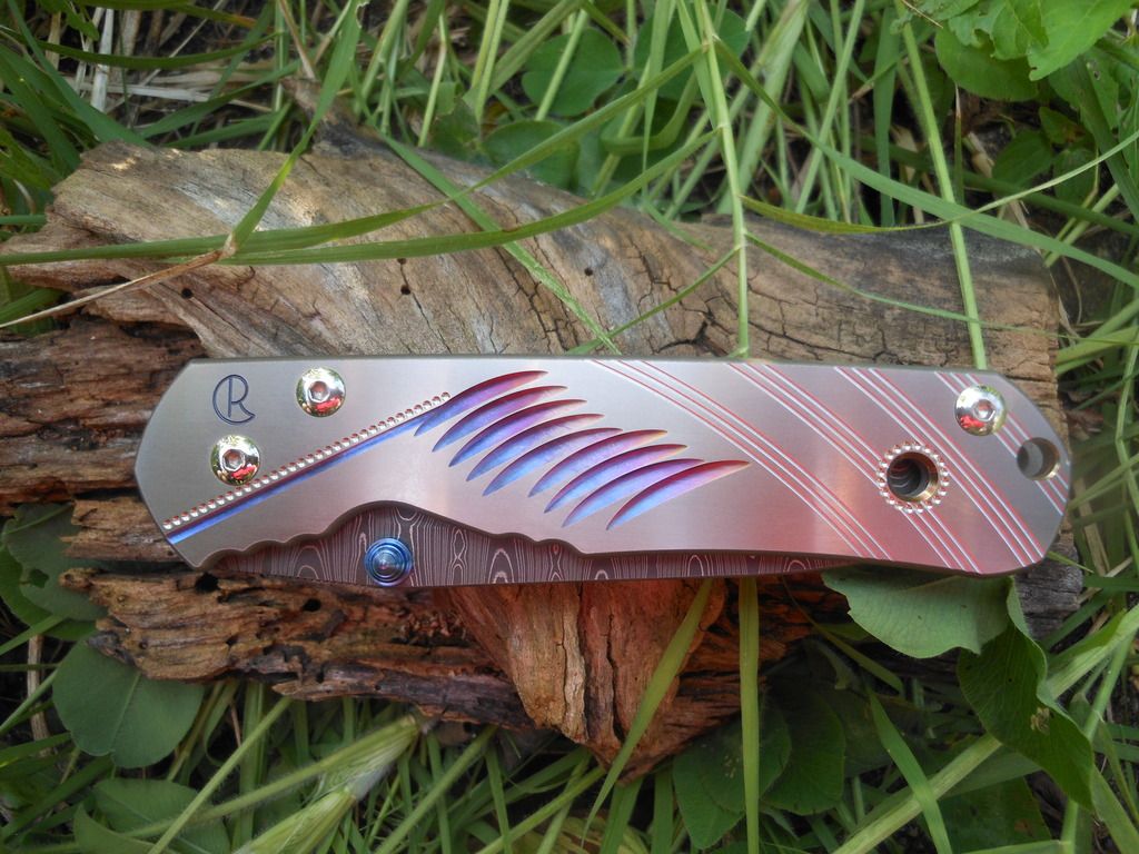 DSCN1295.jpg