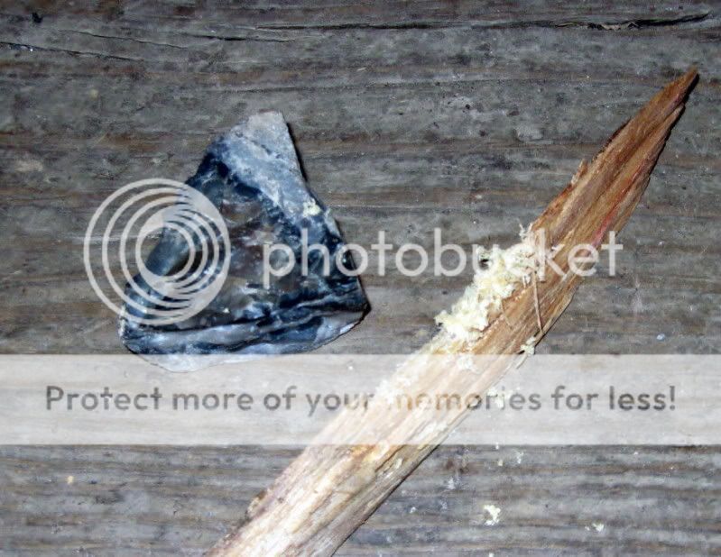 IMG_8955.jpg