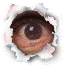 eye1RT.gif