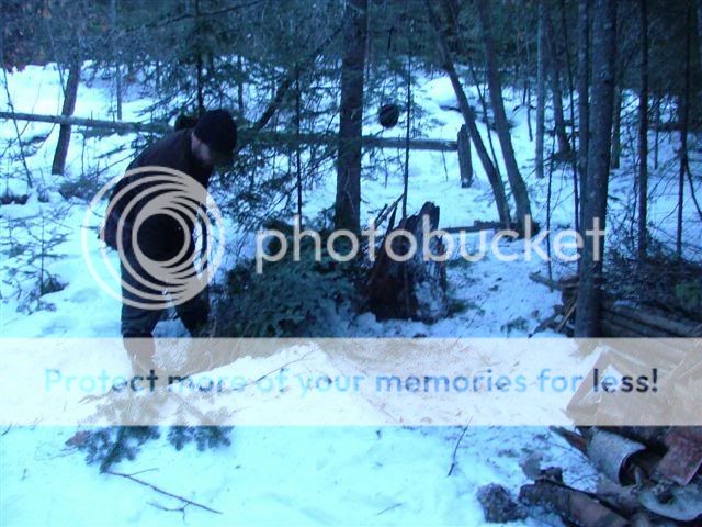 windbreak.jpg