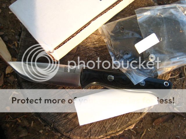 IMG_0003.jpg