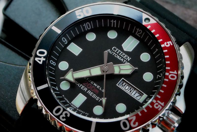 citizen-diver.jpg