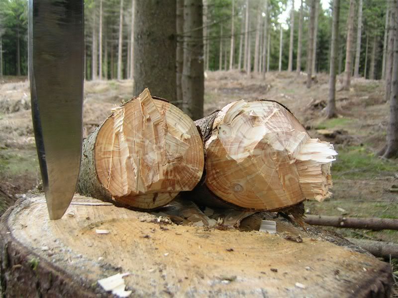 Choptesttwo11.jpg
