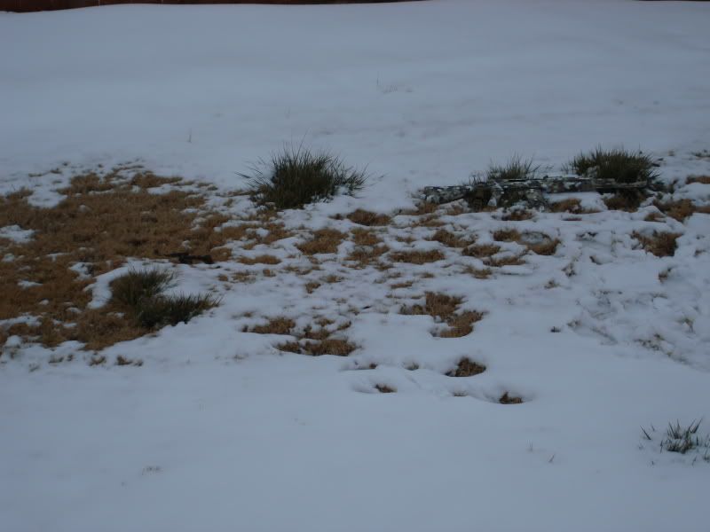 DSC03835.jpg