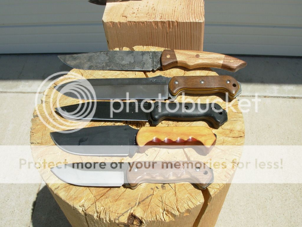 DSCN0282.jpg