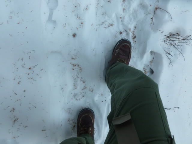 P1020254.jpg
