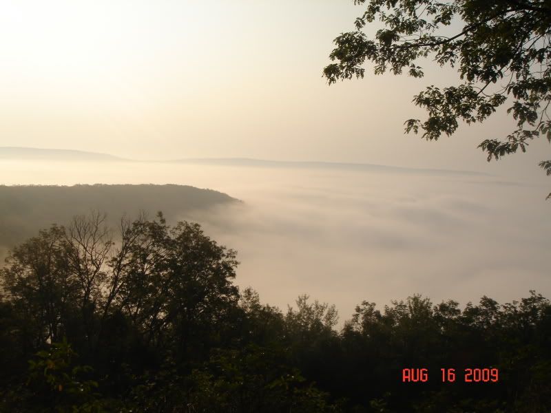 BFT090814086.jpg