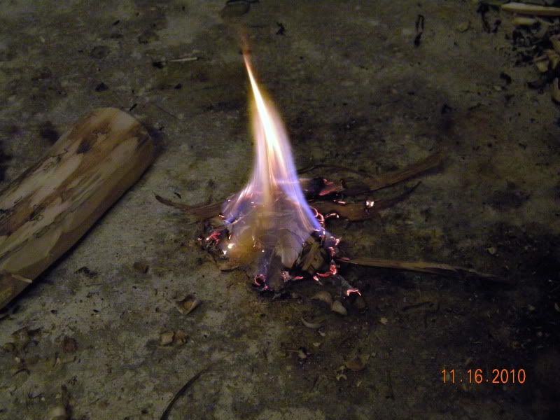 DSCN3106.jpg