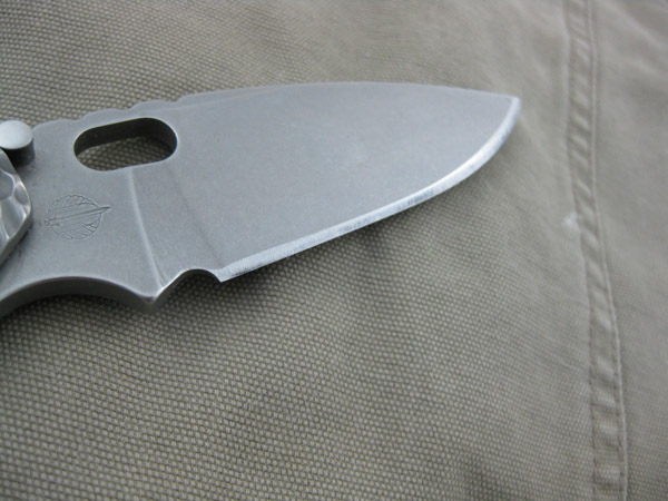 StriderDGG_SnG_011.jpg