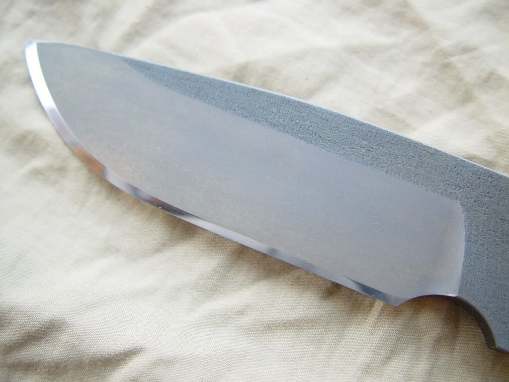 DSC06485.jpg