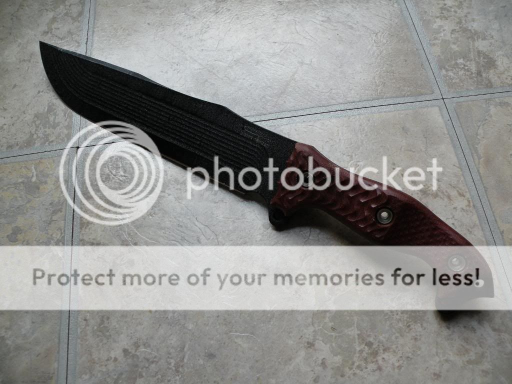 DSCN0766.jpg