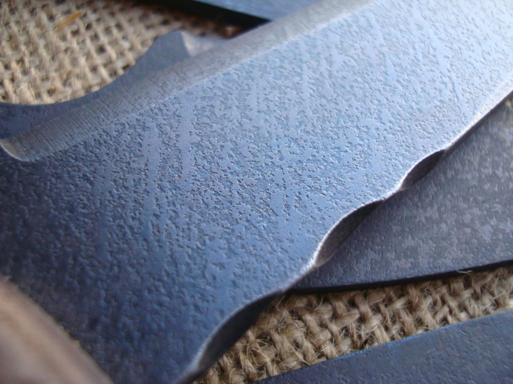 DSC00188.jpg