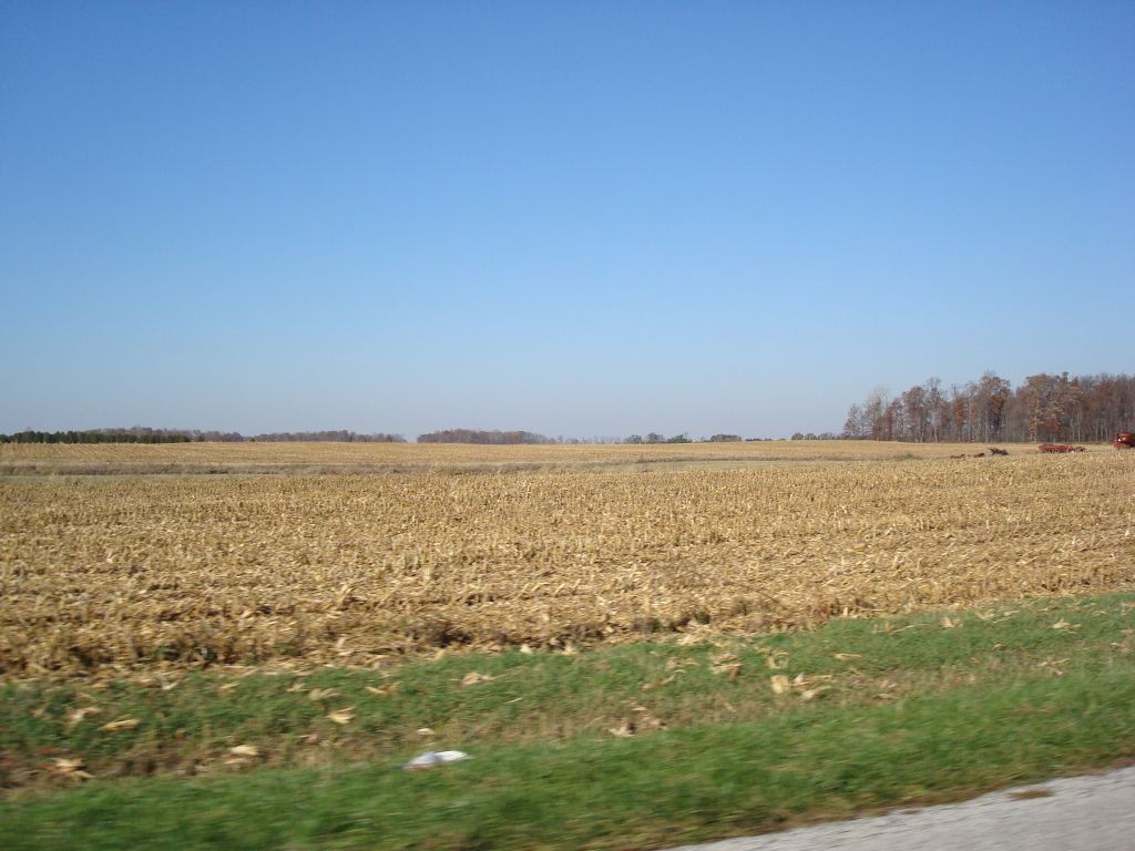 DSC06603.jpg