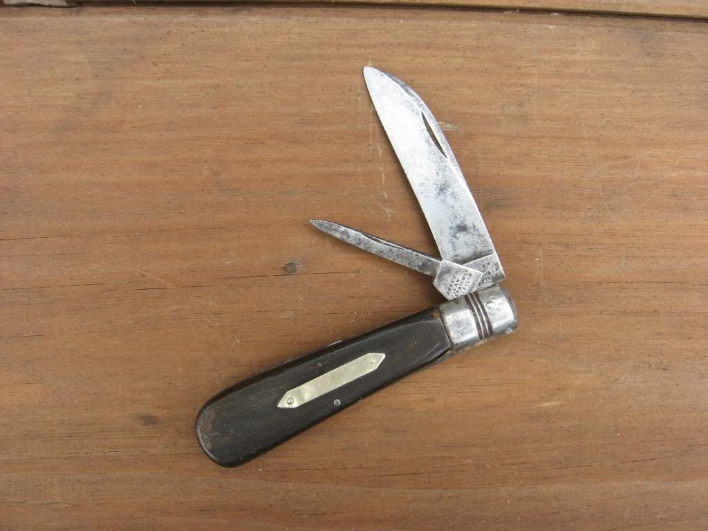Swayback023.jpg